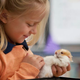Illustration for article titled Kindergarten Class Burning Through 6 Hamsters A Year